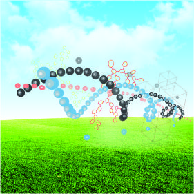 研發(fā)服務(wù)檢測項(xiàng)目