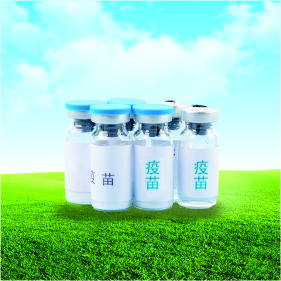 獸藥檢測項(xiàng)目